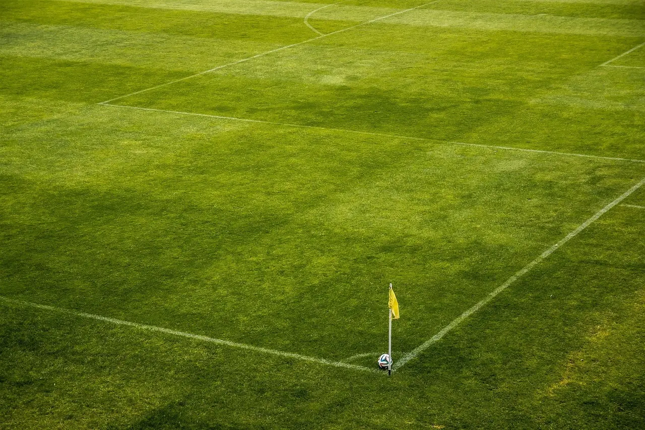 Kampdag i Bodø: komplet guide til danske fans