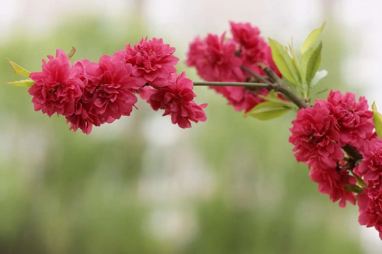 82 13 48 45 - Er det spam eller salg?