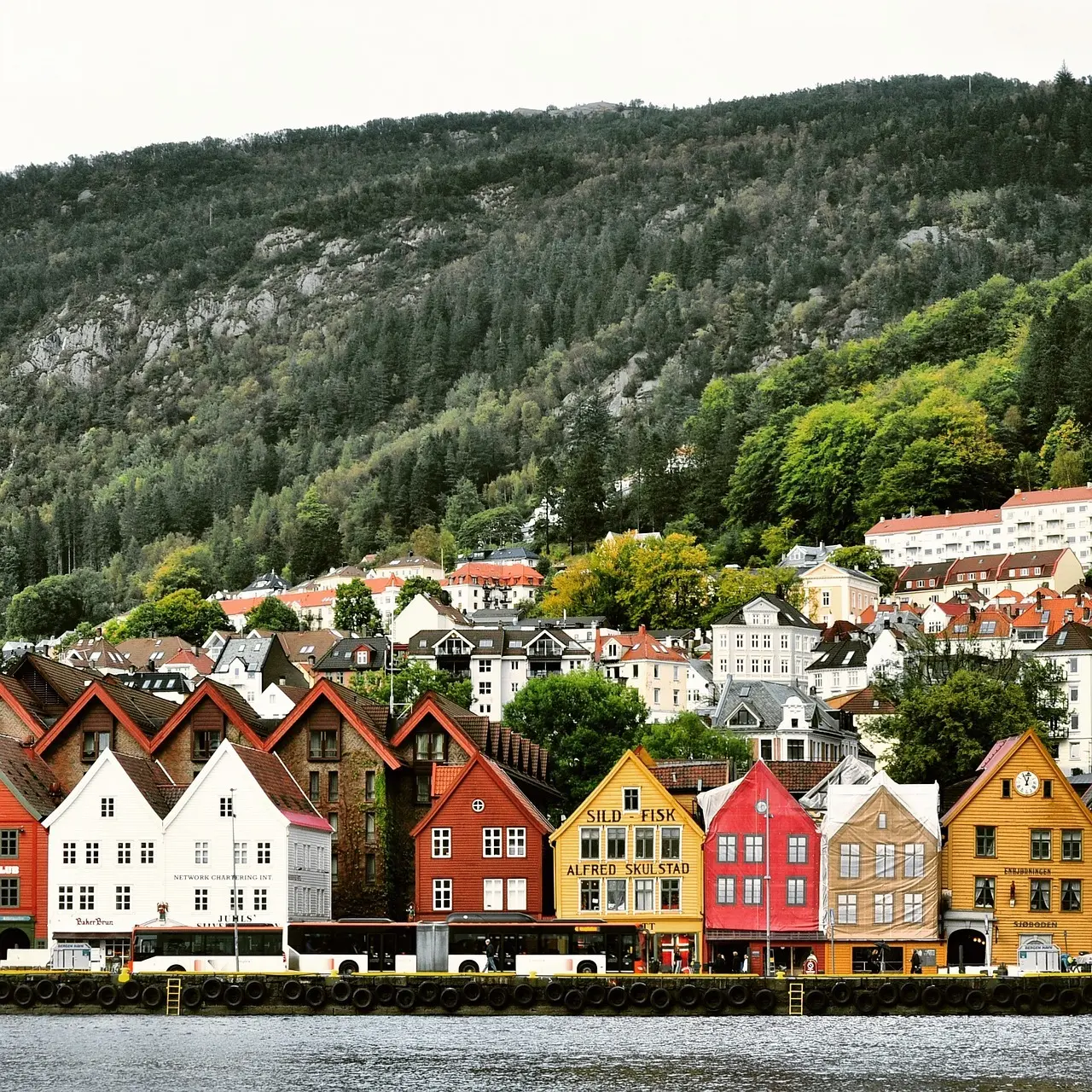Hvordan er vejret i Norge i uge 29?